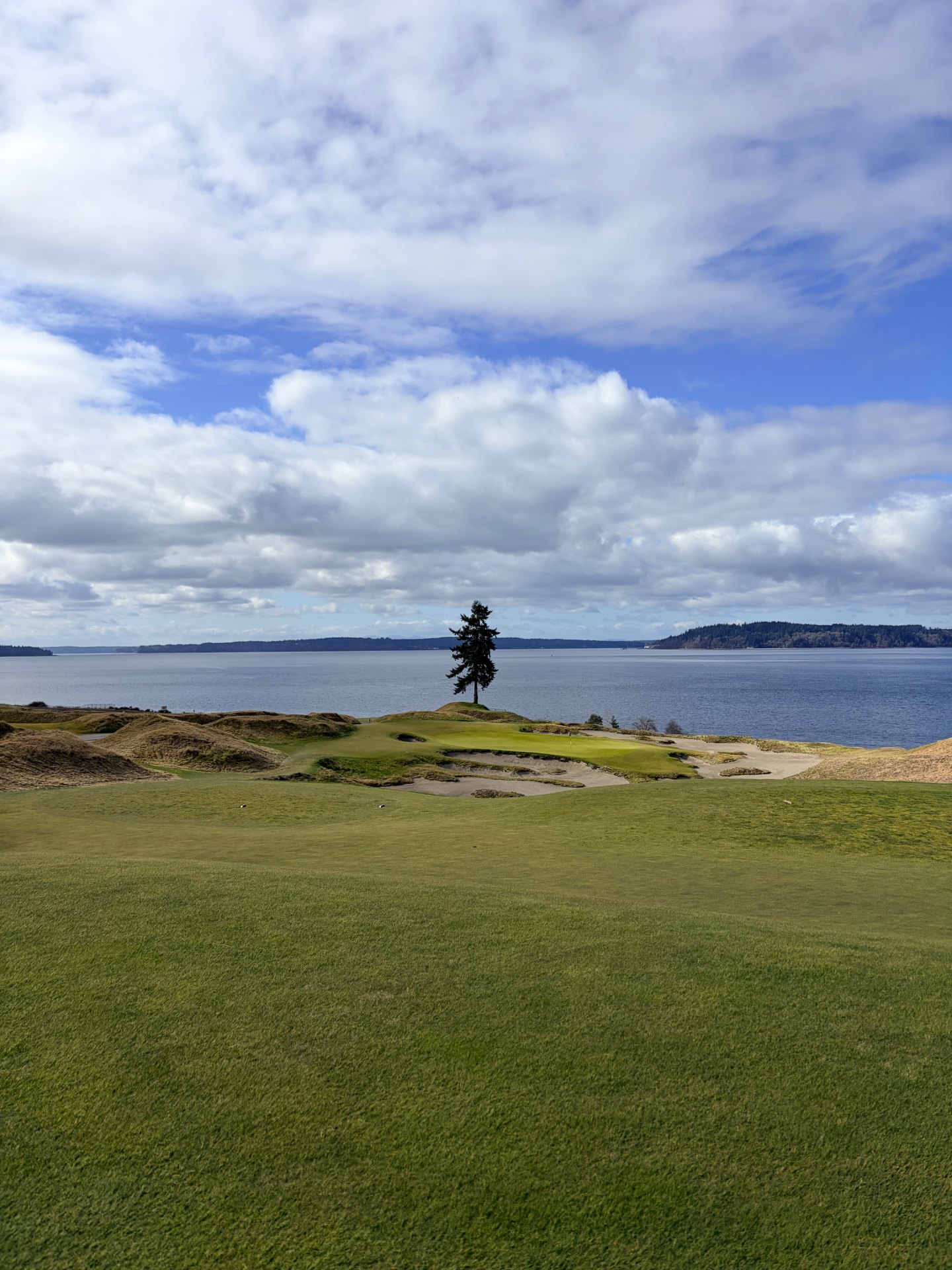 Chambers Bay green with the lone fir tree above Puget Sound