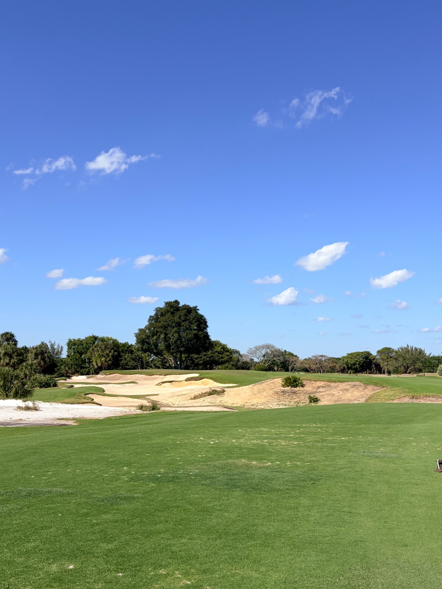 Approach view at The Park West Palm with sandy waste bunkering and a green framed by trees under blue sky
