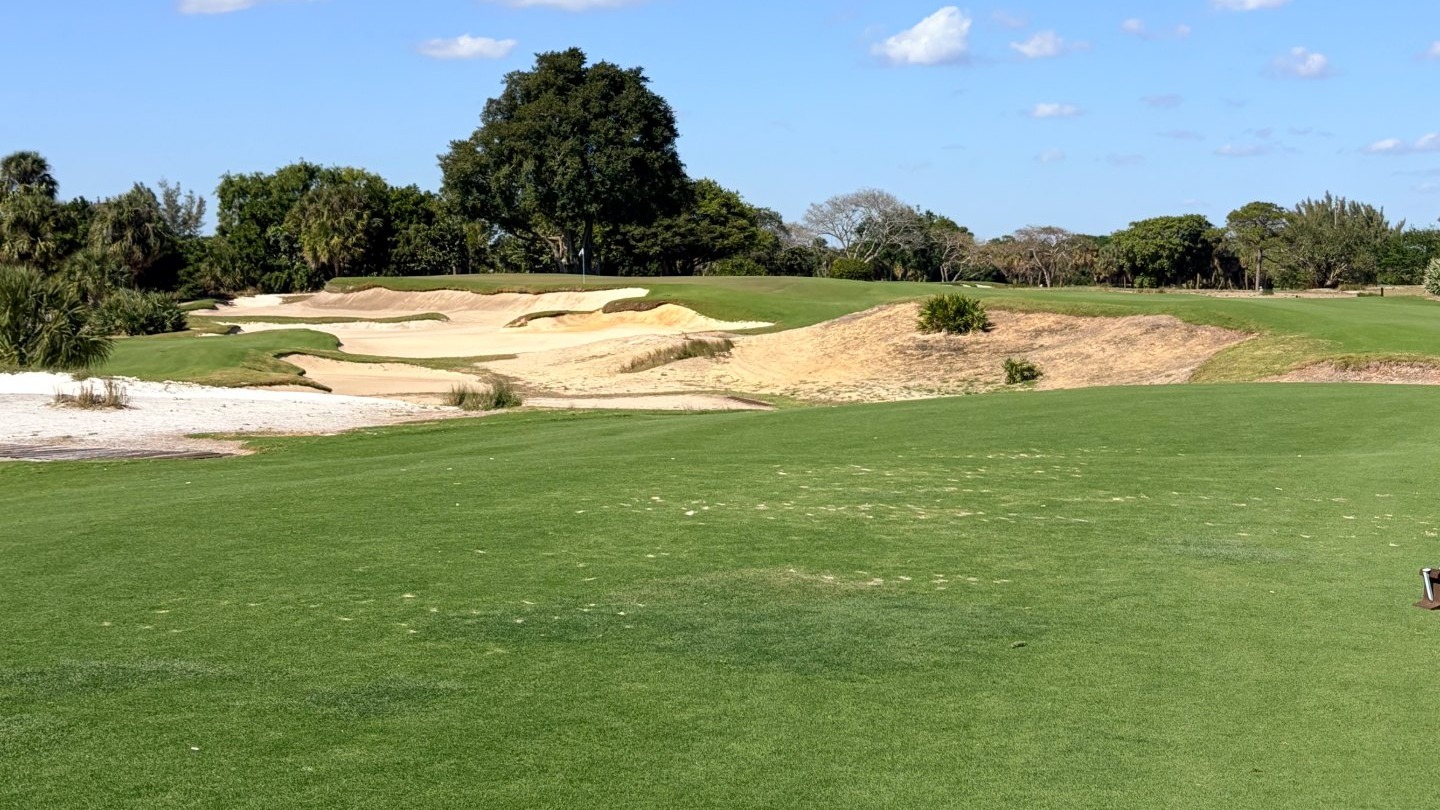 Approach view at The Park West Palm with sandy waste bunkering and a green framed by trees under blue sky