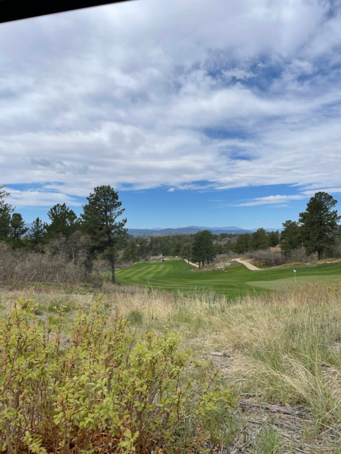 View across native grasses to a green framed by ponderosa pines with the Front Range beyond at The Ridge at Castle Pines North, Castle Rock, Colorado