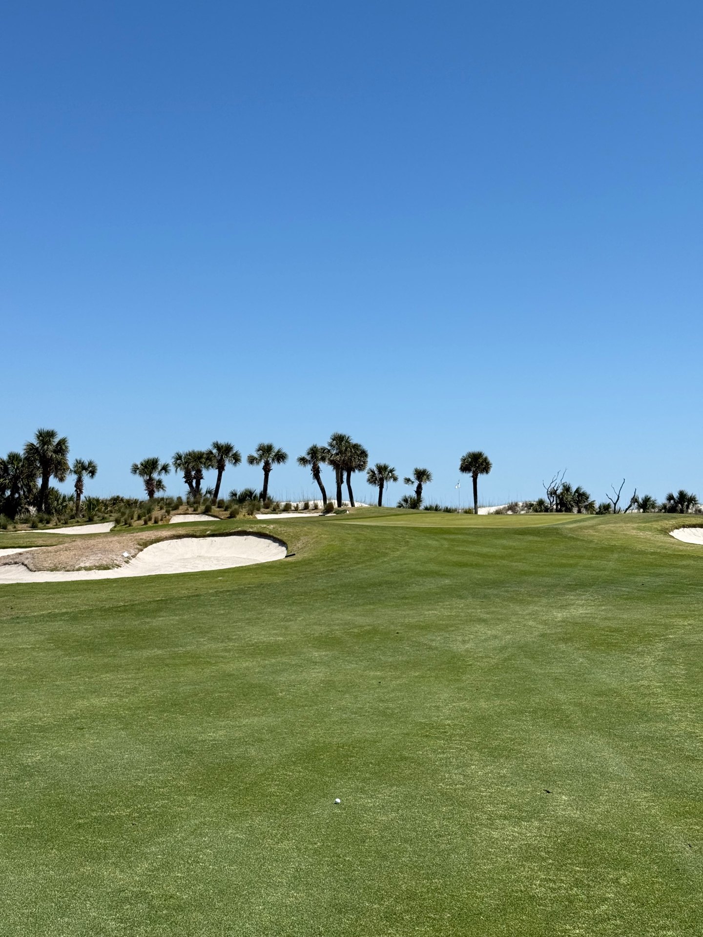 Approach to a seaside green framed by palmettos and white sand bunkers at Palmetto Dunes Robert Trent Jones course