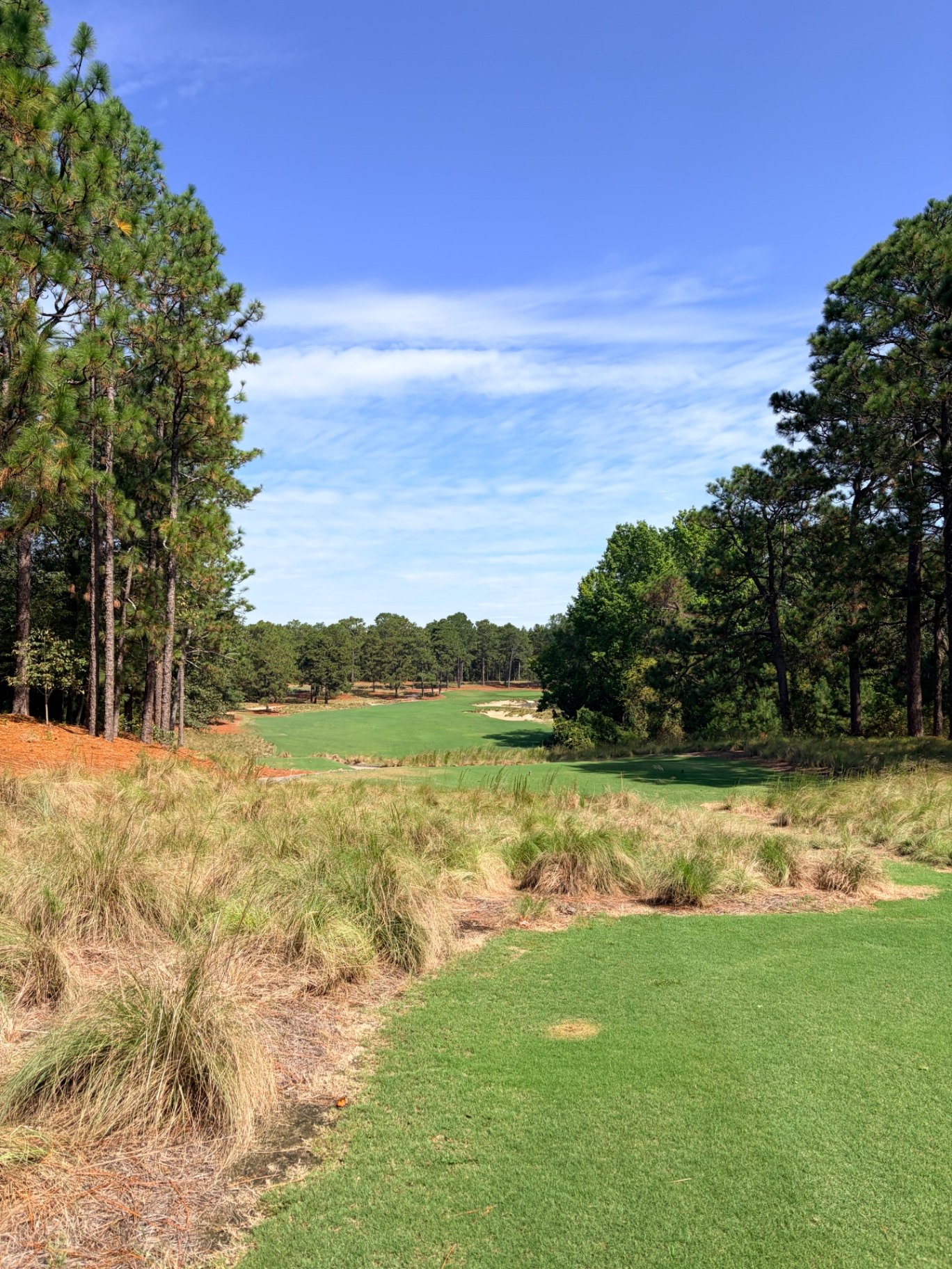 Pine Needles fairway framed by longleaf pines and wiregrass under a blue sky