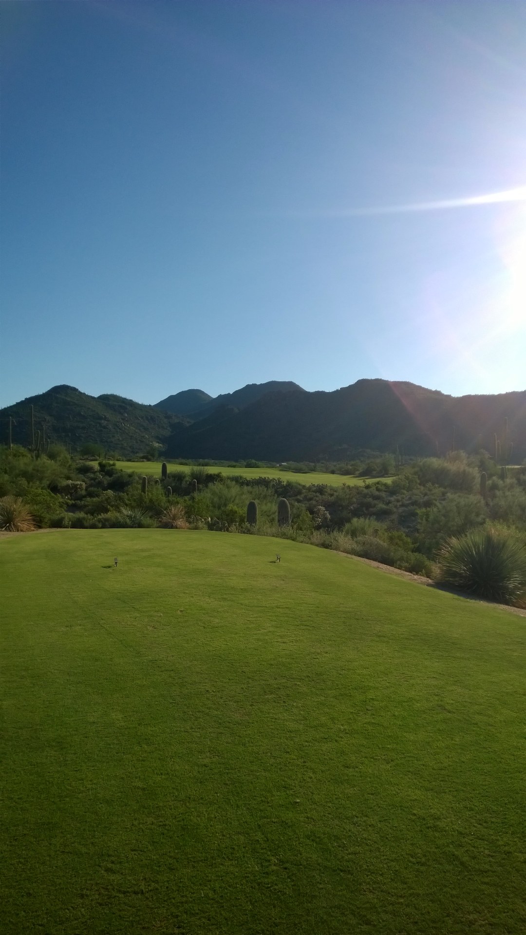 Tee view at the Golf Club at Dove Mountain looking across saguaro-studded desert to a fairway framed by the Tortolita Mountains in early morning light