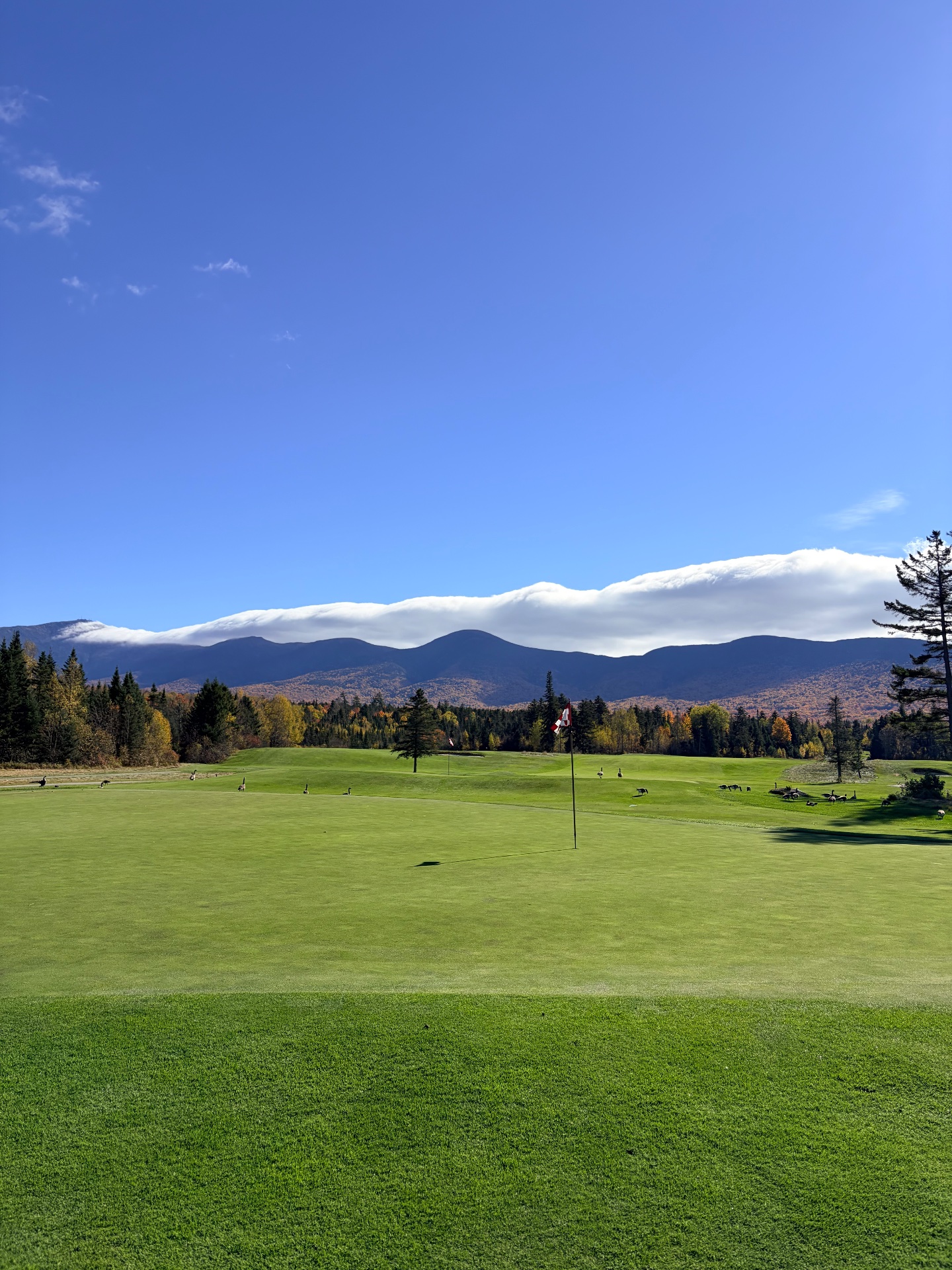 Golfer photo of Omni Mount Washington Resort - Mount Washington Course in Bretton Woods, NH