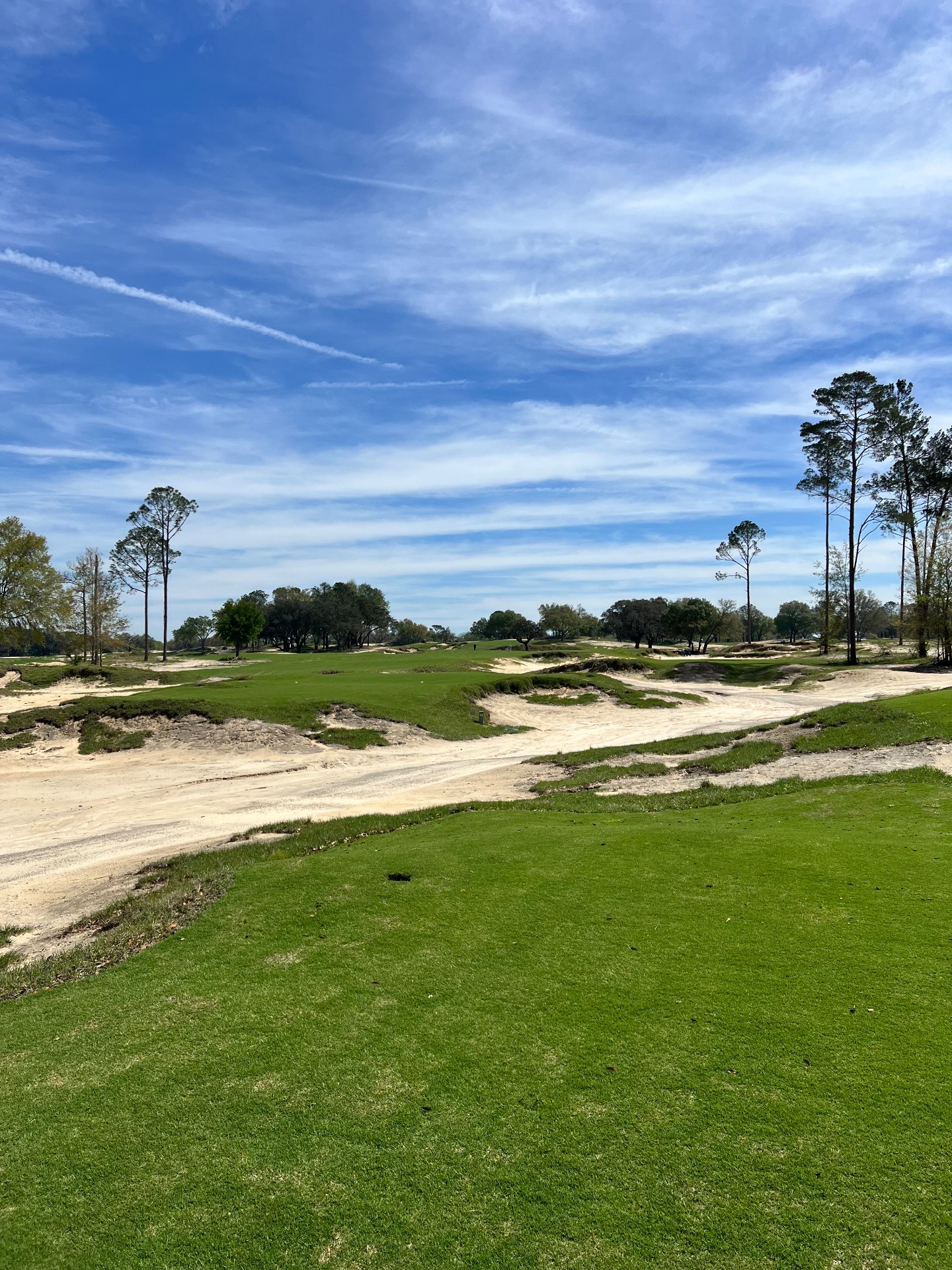 Golfer photo of Cabot Citrus Farms - Karoo in Brooksville, FL