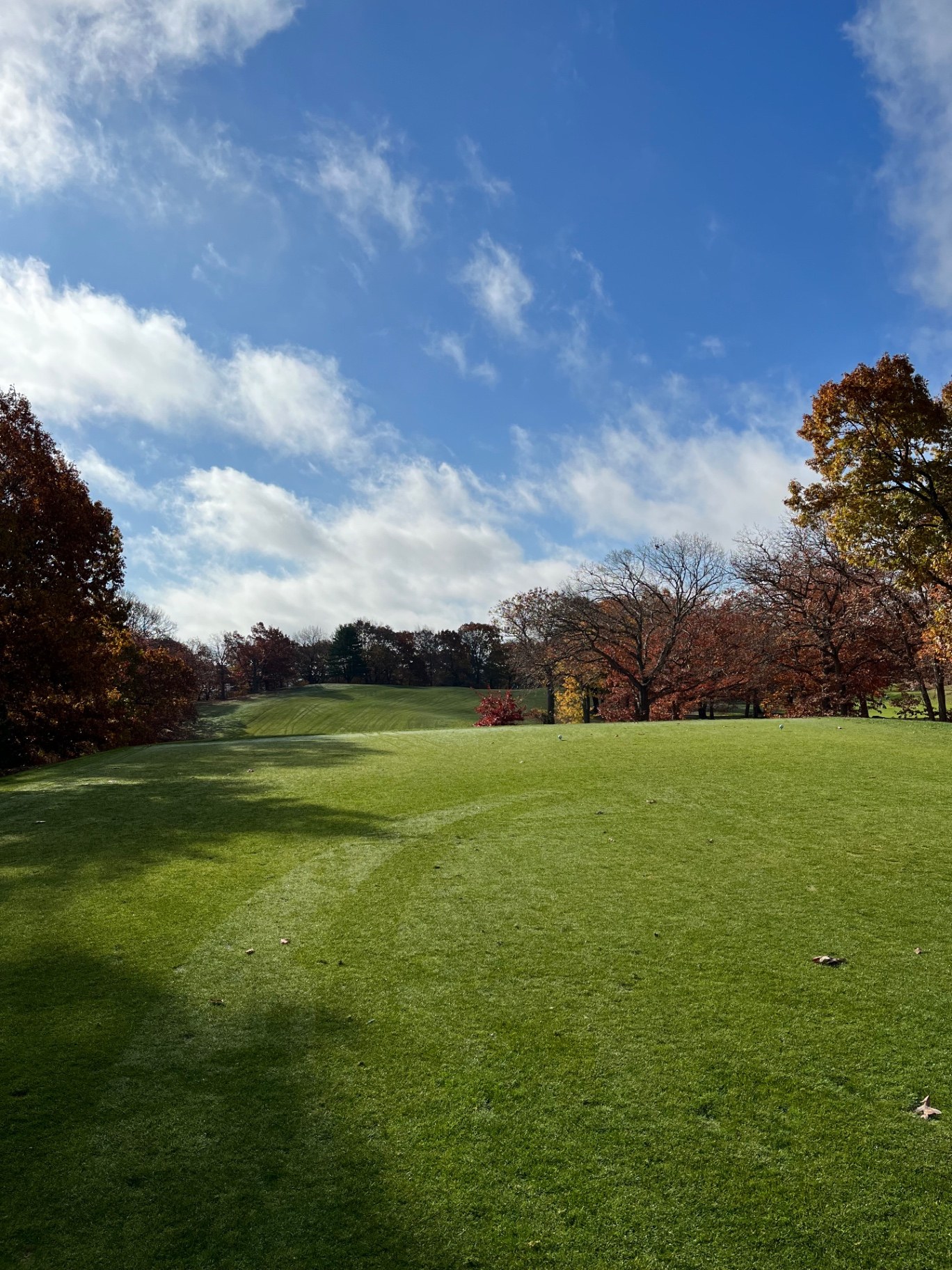 Rolling fairway framed by late-autumn oaks under a blue sky at George Wright Golf Course in Boston