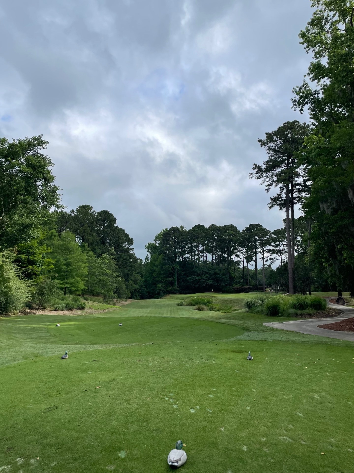 Tee view with duck-decoy tee markers down a fairway framed by pines, live oaks and ornamental grasses at Caledonia Golf & Fish Club