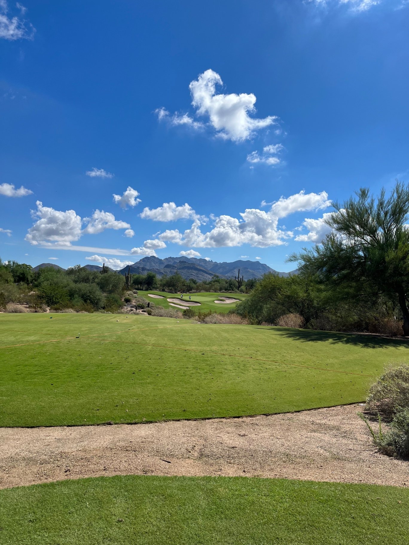 Desert fairway at Grayhawk Golf Club Raptor course in Scottsdale, Arizona, with saguaros and the McDowell Mountains beyond