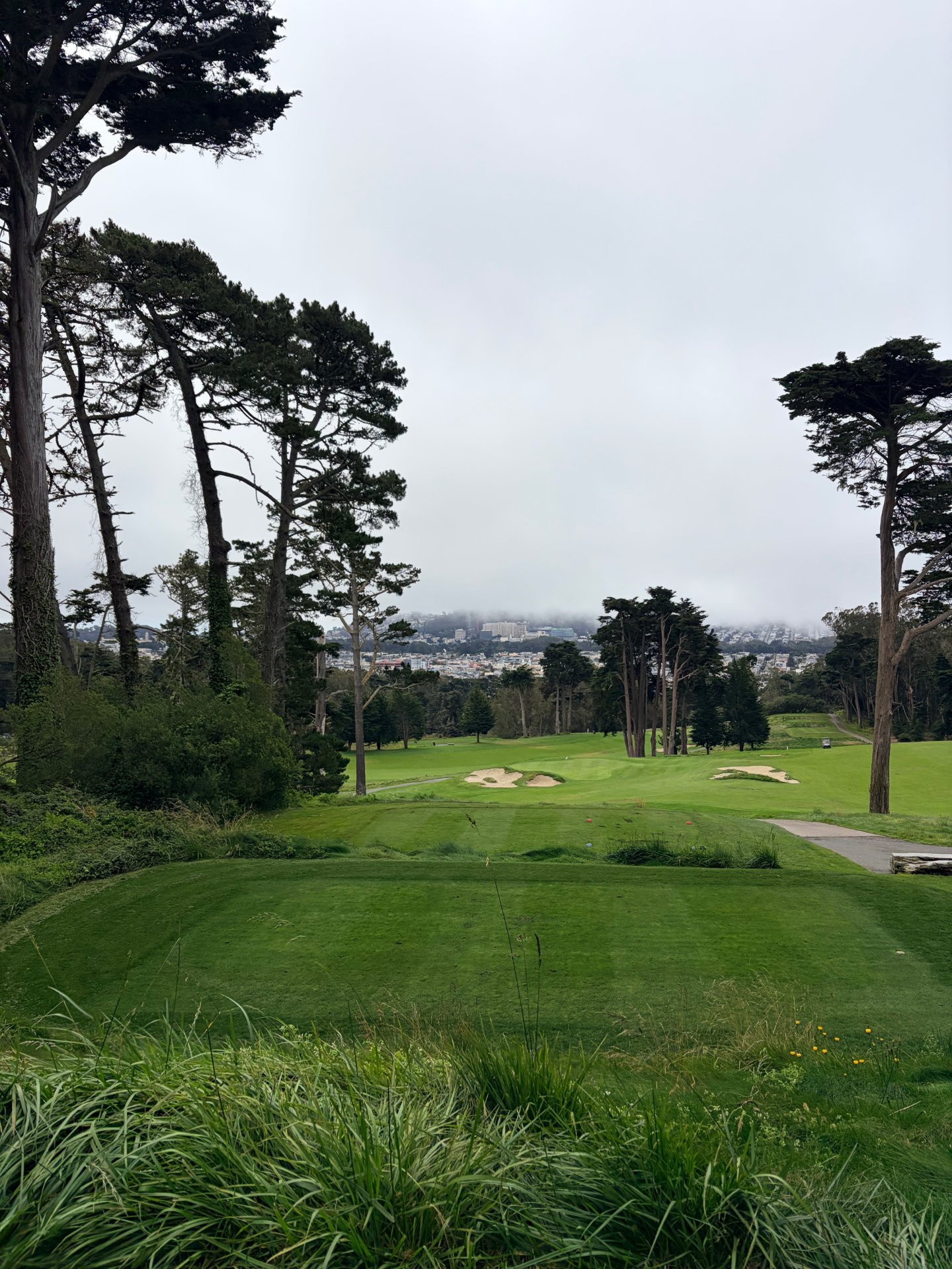 Tee view at Presidio Golf Course with cypress trees and the San Francisco skyline in fog