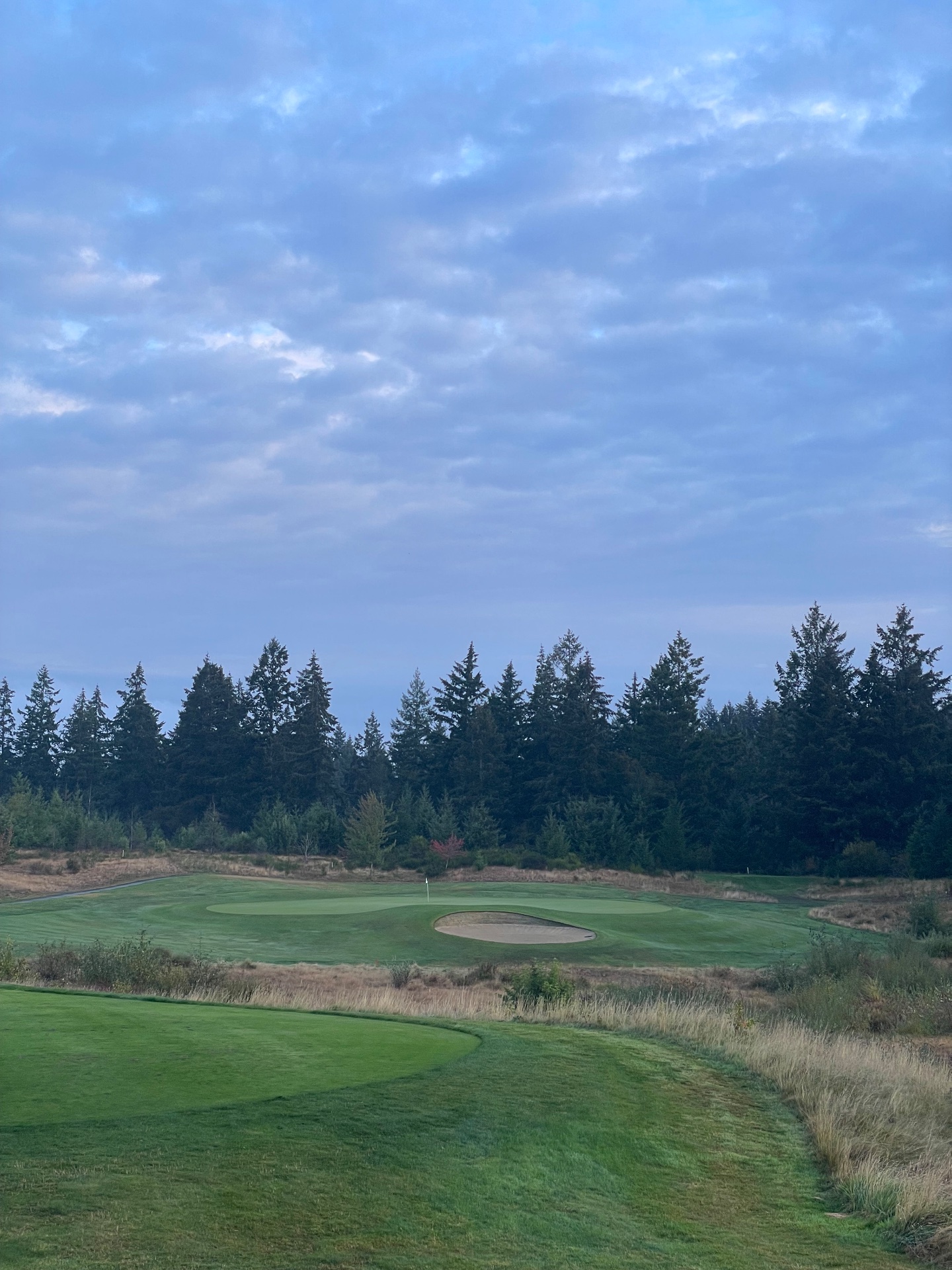 Golfer photo of The Home Course in DuPont, WA