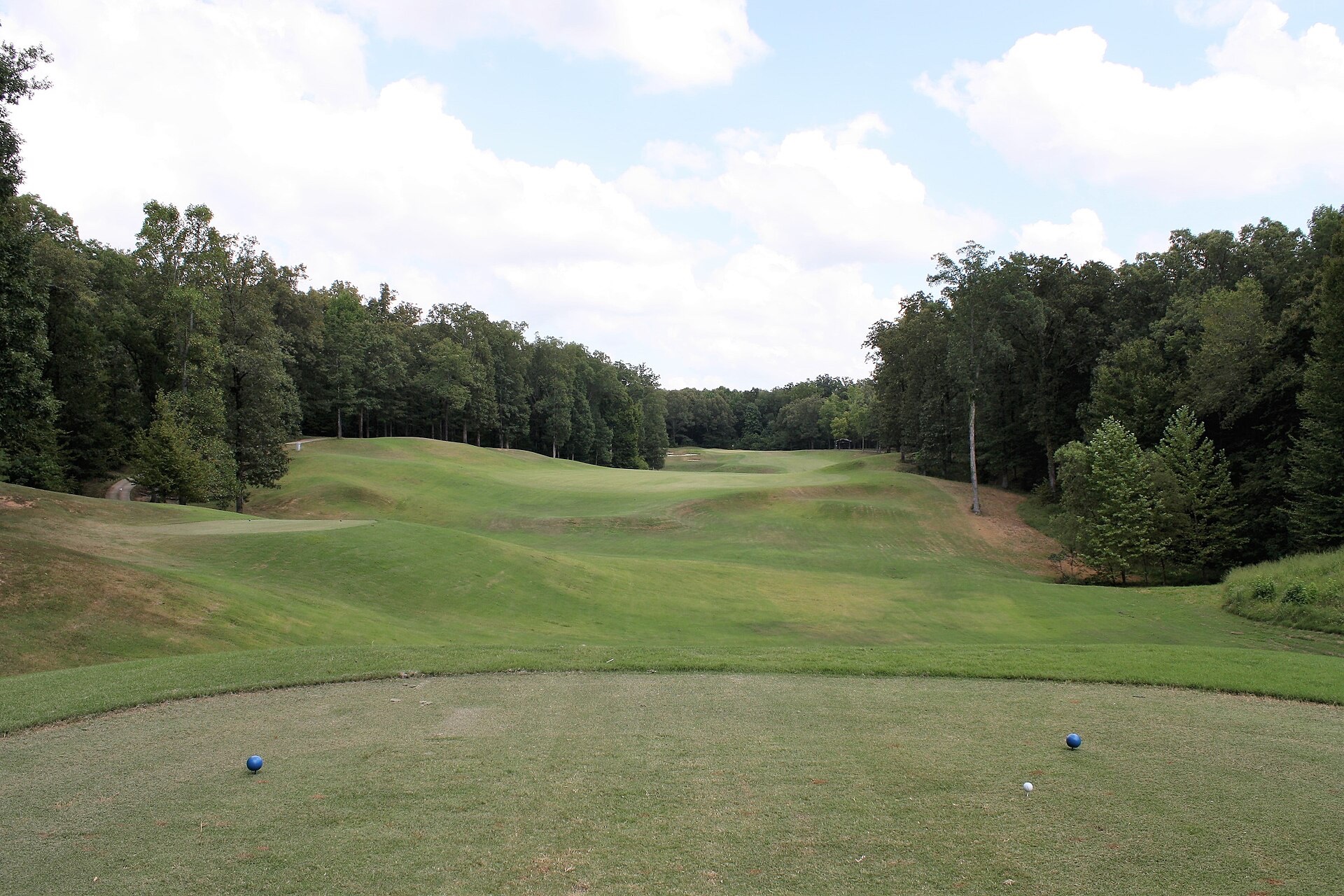 Golfer photo of The Ridges at Village Creek in Wynne, AR