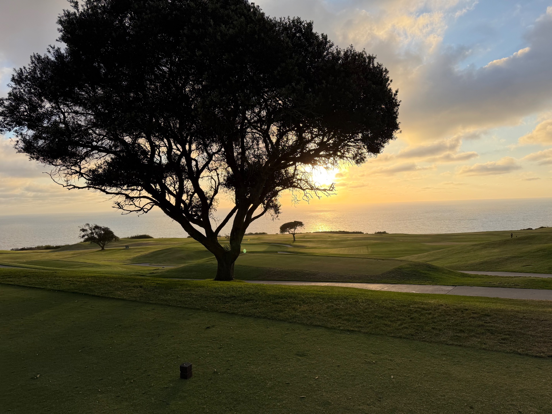 Golfer photo of Torrey Pines Golf Course (South) in La Jolla, CA