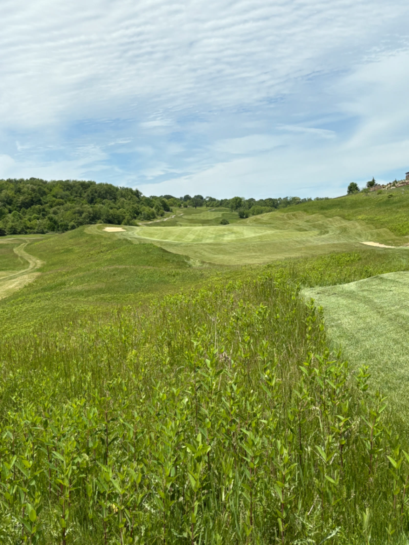 Fairway framed by tall native grasses at Totteridge Golf Club in Gibsonia, Pennsylvania