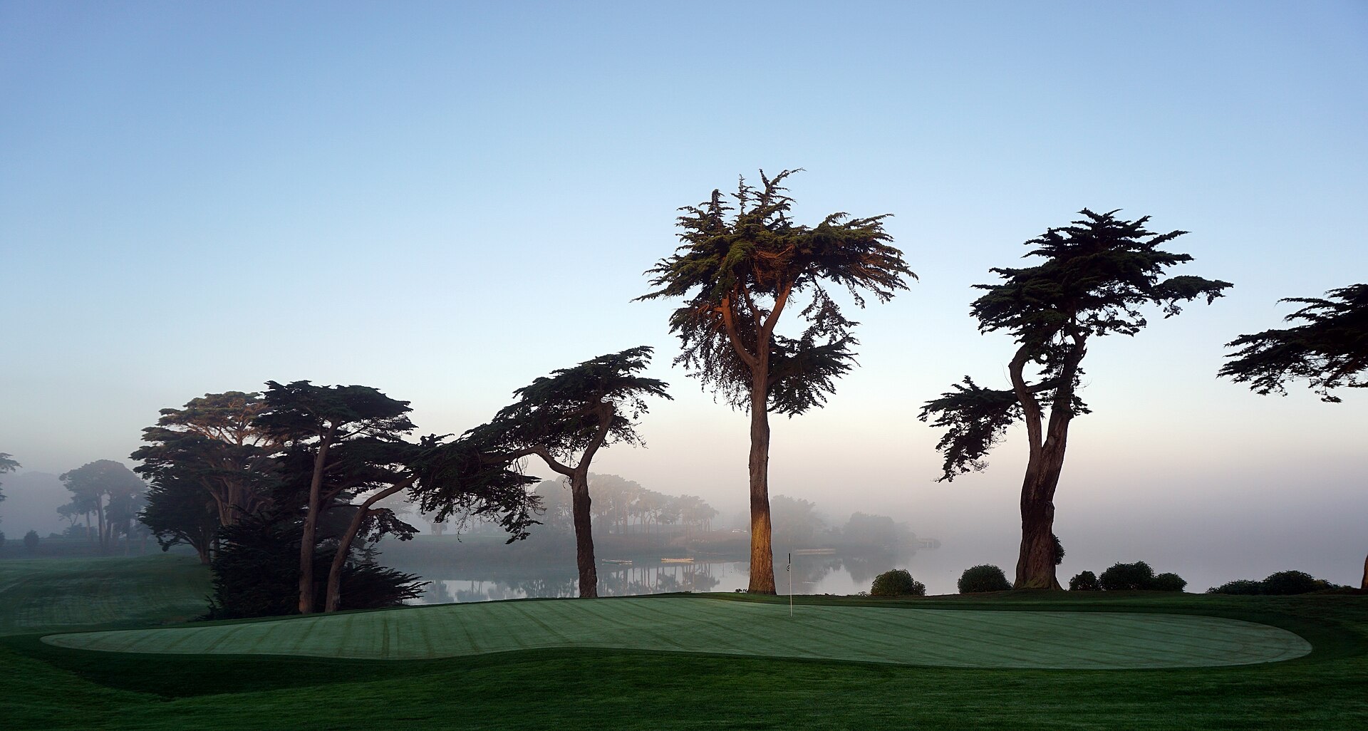Golfer photo of TPC Harding Park in San Francisco, CA