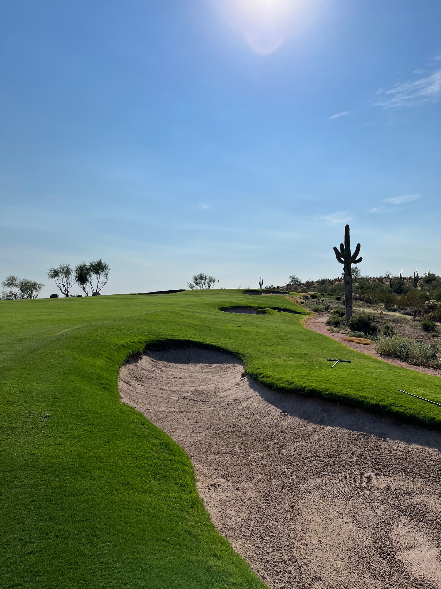 Golfer photo of We-Ko-Pa Golf Club: Saguaro in Fort McDowell, AZ